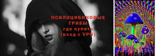 мет Новозыбков