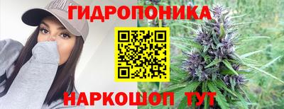 дурь Кимры