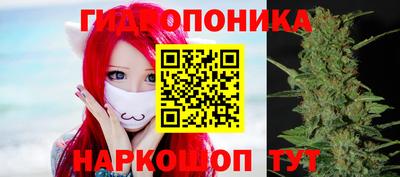 ешки Кинель
