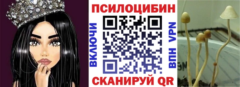 Псилоцибиновые грибы MAGIC MUSHROOMS  где продают   Симферополь 