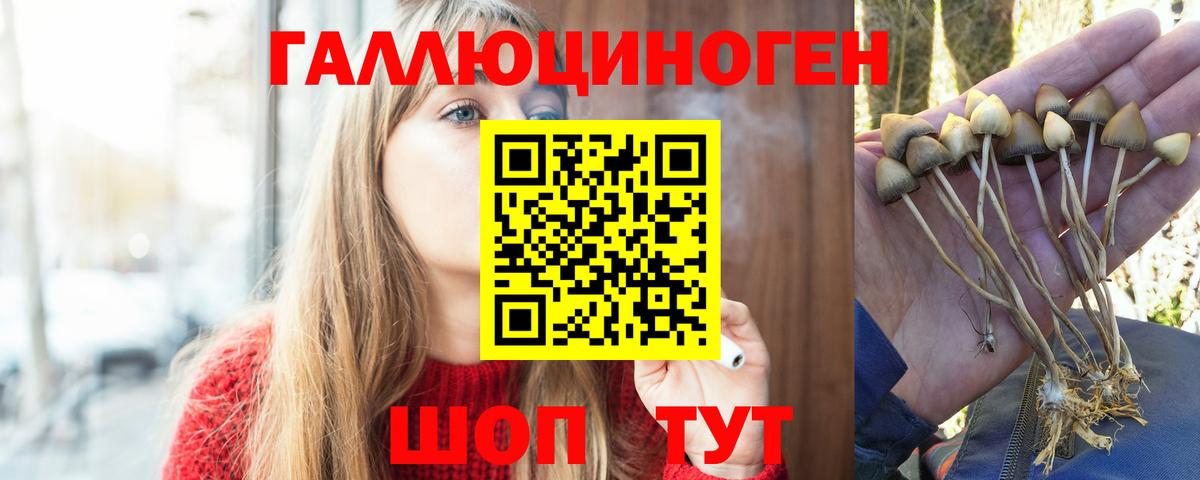 Галлюциногенные грибы Psilocybe Симферополь