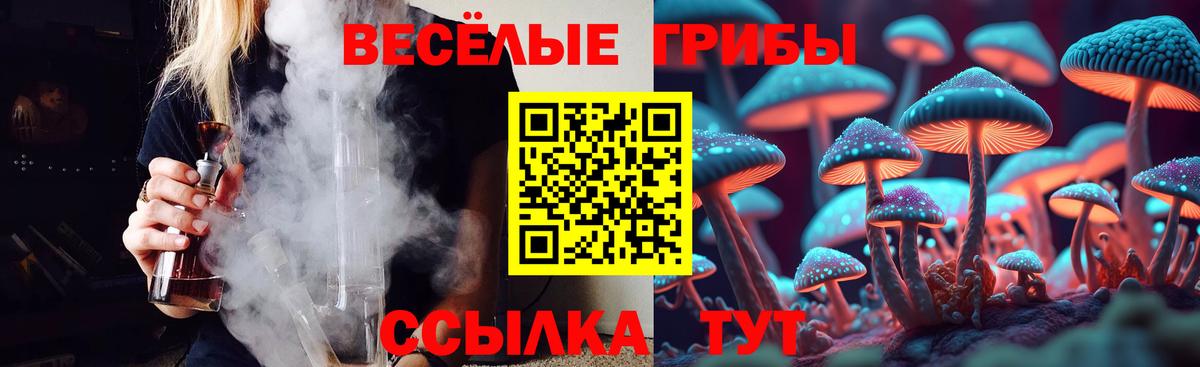 Псилоцибиновые грибы Psilocybine cubensis Симферополь